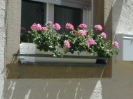 DSCN0373.JPG